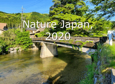 Nature Japan 2020 (1)